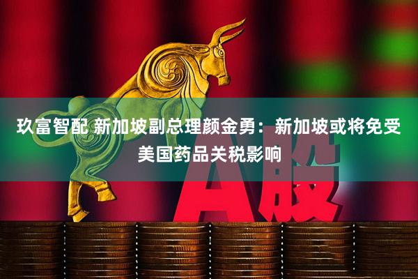 玖富智配 新加坡副总理颜金勇：新加坡或将免受美国药品关税影响