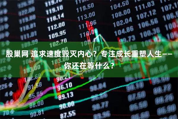 股巢网 追求速度毁灭内心？专注成长重塑人生——你还在等什么？